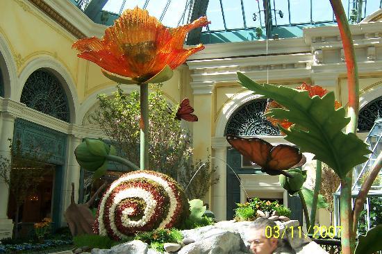 Bellagio Conservatory & Botanical Gardens